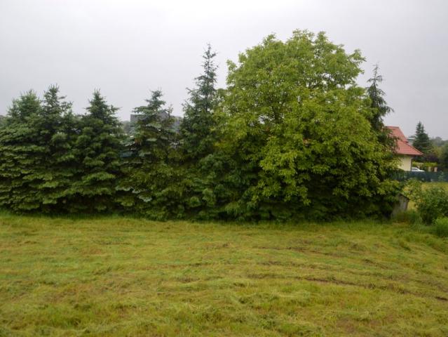Grunt na sprzedaż w Nowy Sącz, Małopolskie