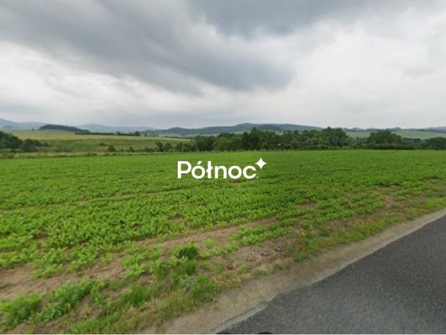 Grunt na sprzedaż w Jaszkowa Dolna, Dolnośląskie