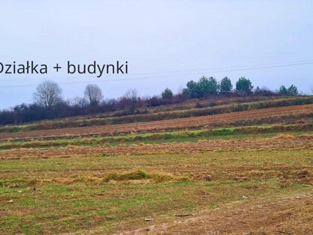 Grunt na sprzedaż w Wysokie, Lubelskie