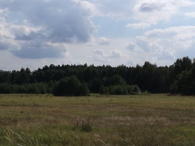 Grunt na sprzedaż w Polkowice, Dolnośląskie