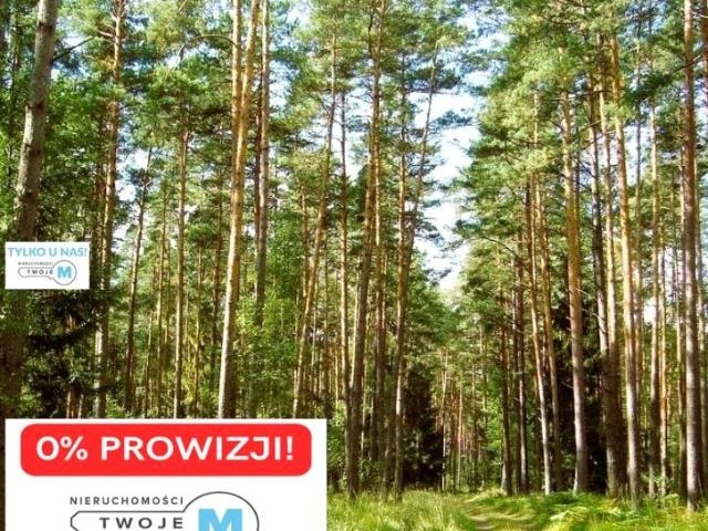 Grunt na sprzedaż w Chmielnik, Świętokrzyskie