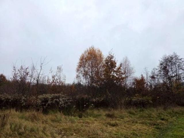 Grunt na sprzedaż w Mogilany, Małopolskie