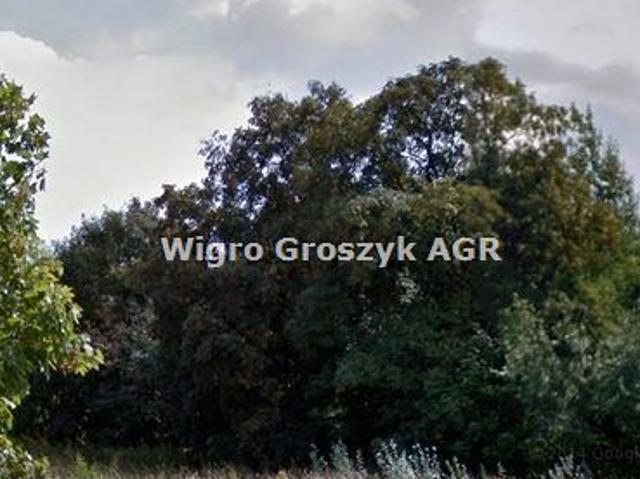Grunt na sprzedaż w Płońsk, Mazowieckie