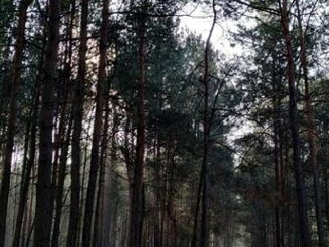 Grunt na sprzedaż w Jadów, Mazowieckie