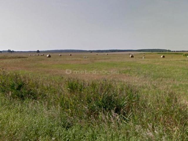 Grunt na sprzedaż w Trzcielin, Wielkopolskie