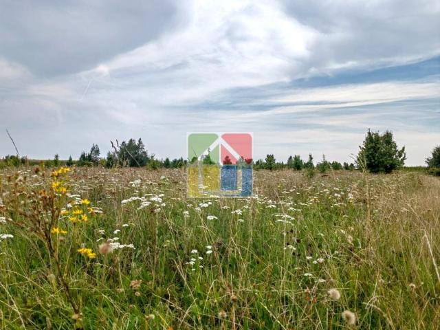 Grunt na sprzedaż w Szczawin Kościelny, Mazowieckie