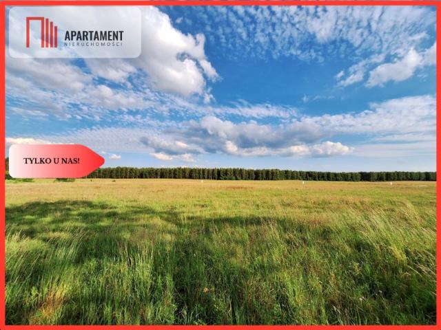 Grunt na sprzedaż w Plecemin, Wielkopolskie