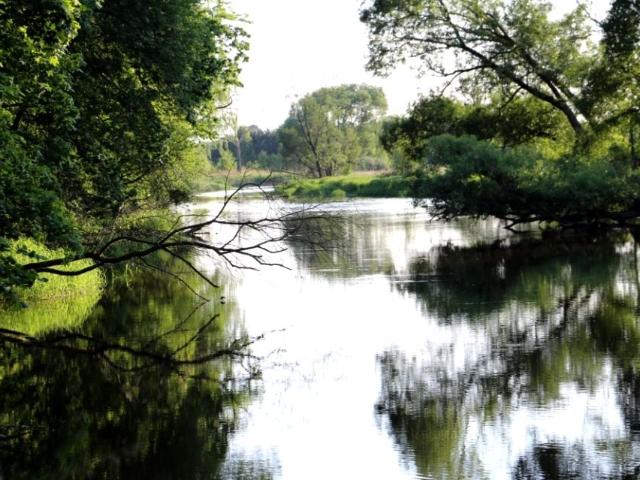 Grunt na sprzedaż w Lipie, Śląskie