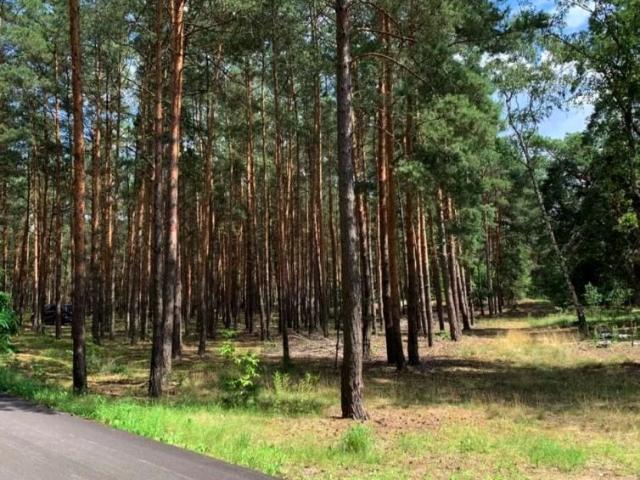 Grunt na sprzedaż w Nowe Polesie, Mazowieckie