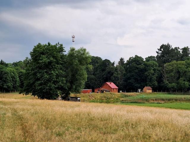 Grunt na sprzedaż w Przesieki, Wielkopolskie