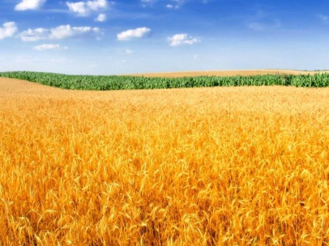 Grunt na sprzedaż w Środa Wielkopolska, Wielkopolskie