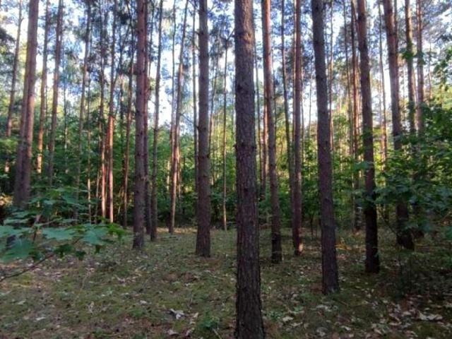 Grunt na sprzedaż w Olszanka, Mazowieckie