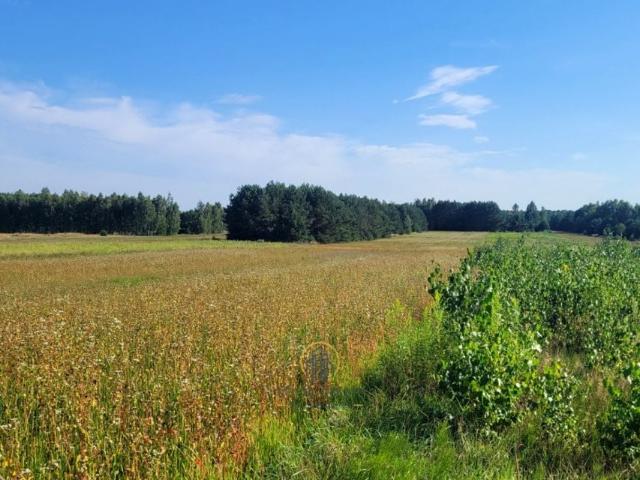 Grunt na sprzedaż w Pałecznica, Lubelskie