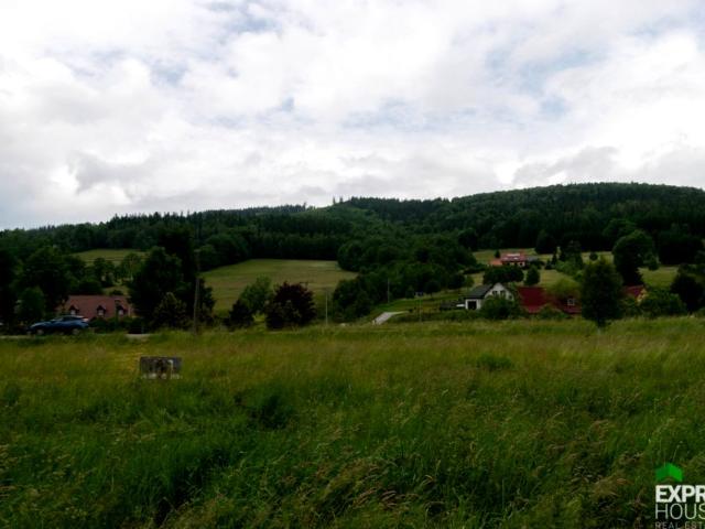 Grunt na sprzedaż w Stronie Śląskie, Dolnośląskie