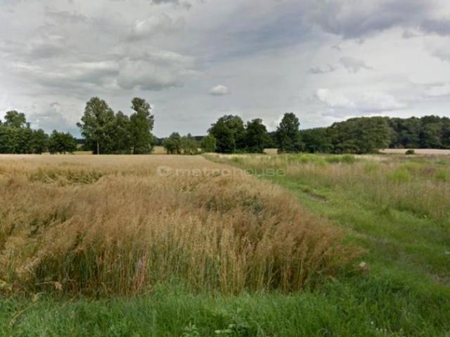 Grunt na sprzedaż w Rybojedzko, Wielkopolskie