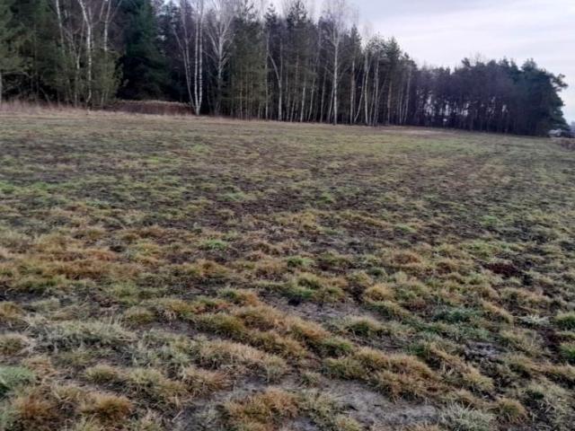 Grunt na sprzedaż w Rakszawa, Podkarpackie