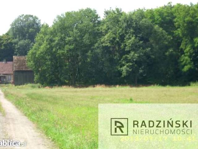 Grunt na sprzedaż w Łagodzin, Lubuskie