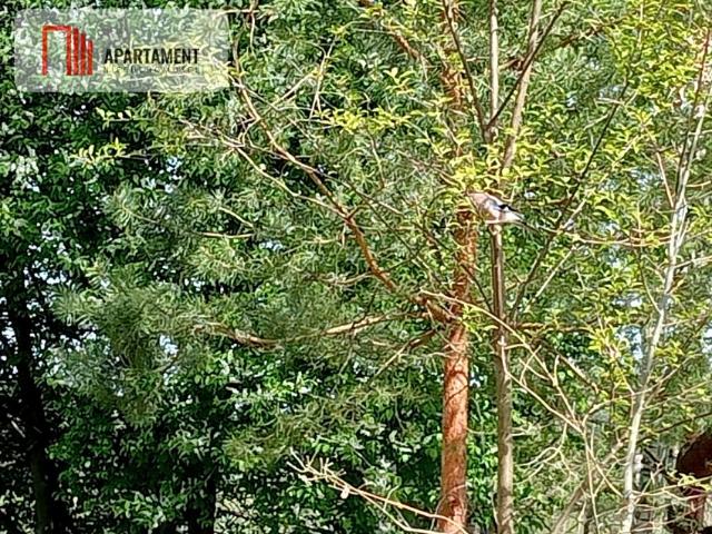 Grunt na sprzedaż w Bydgoszcz