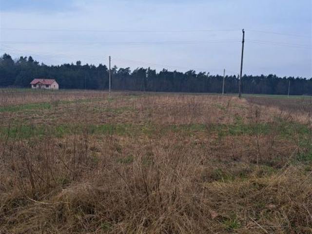 Grunt na sprzedaż w Krucz, Wielkopolskie