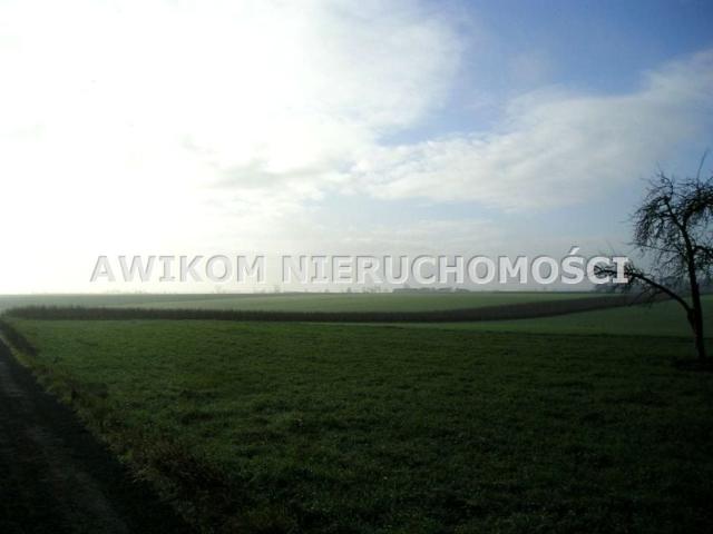 Grunt na sprzedaż w Nowy Kawęczyn, Łódzkie