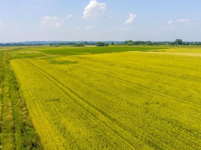 Grunt na sprzedaż w Szczurowa, Małopolskie
