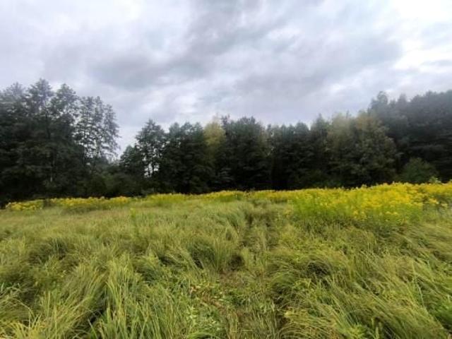 Grunt na sprzedaż w Pyskowice, Śląskie