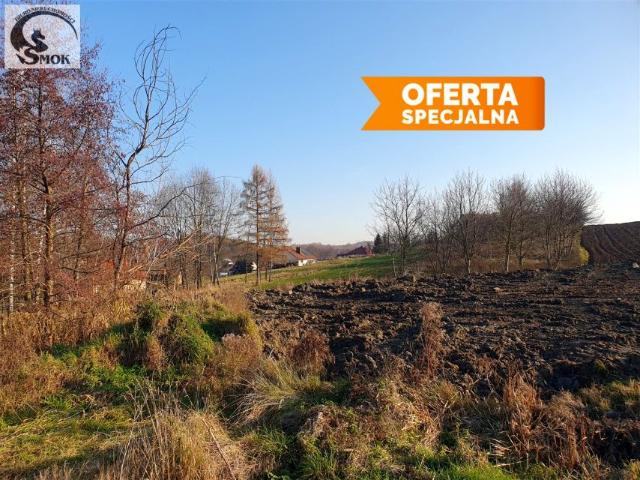 Grunt na sprzedaż w Bodzanów, Małopolskie