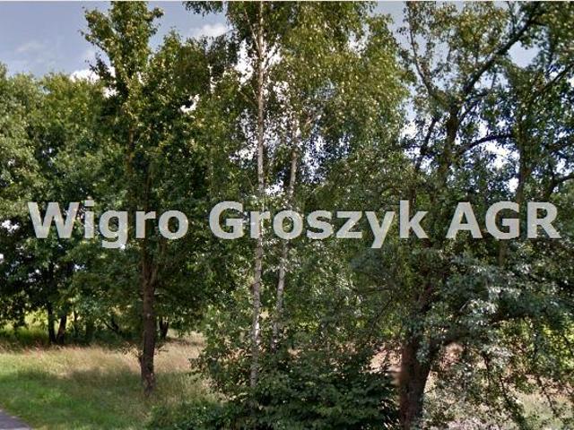 Grunt na sprzedaż w Nowe Polesie, Mazowieckie