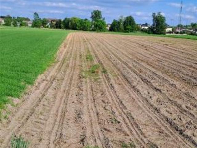 Grunt na sprzedaż w Opatów, Śląskie