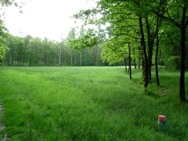 Grunt na sprzedaż w Świdnica, Lubuskie