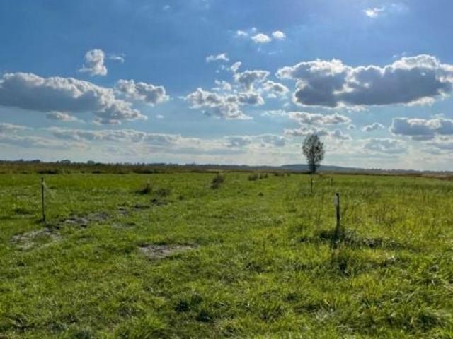 Grunt na sprzedaż w Chojna, Zachodniopomorskie