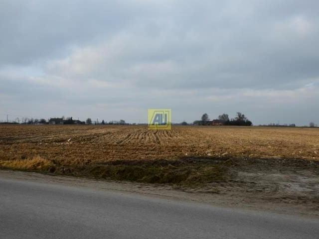 Grunt na sprzedaż w Ryki, Lubelskie