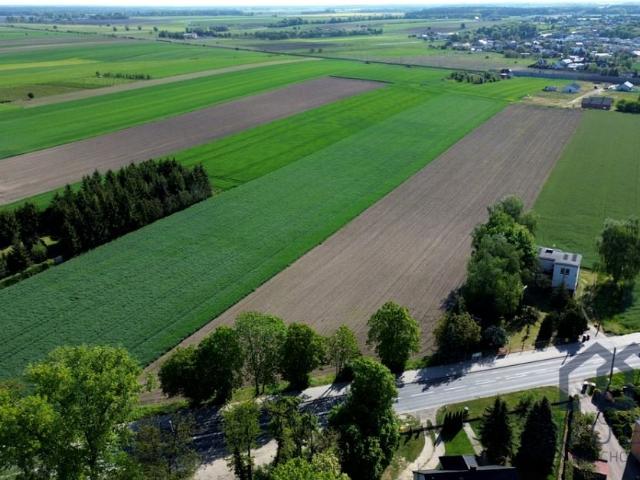 Grunt na sprzedaż w Czempiń, Wielkopolskie