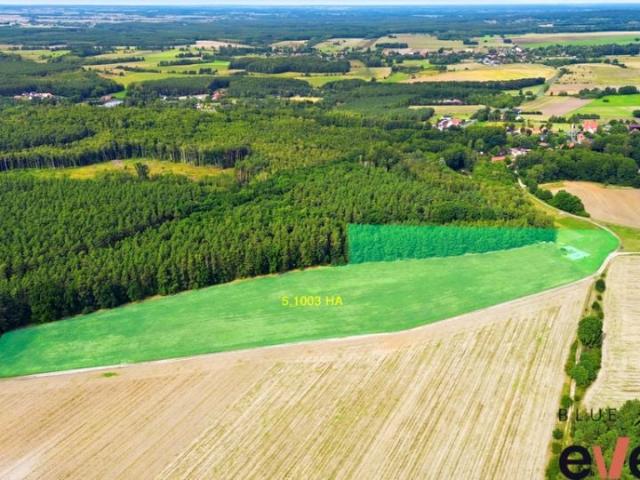 Grunt na sprzedaż w Wołów, powiat wołowski