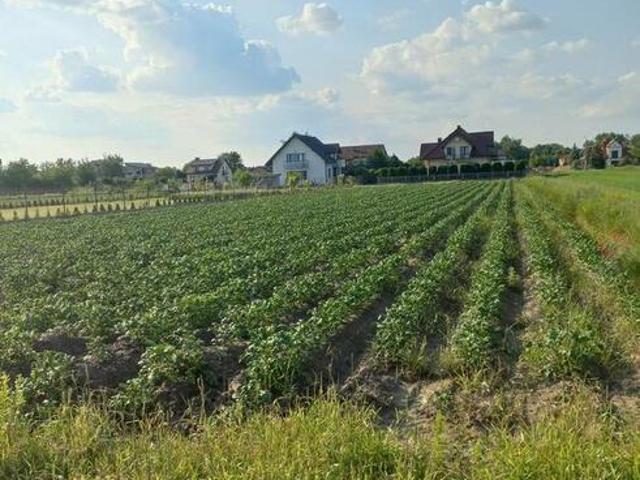 Grunt na sprzedaż w Raszyn, Mazowieckie