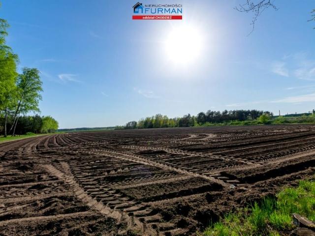 Grunt na sprzedaż w Budzyń, Wielkopolskie