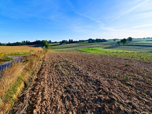 Grunt na sprzedaż w Wojciechów, Lubelskie