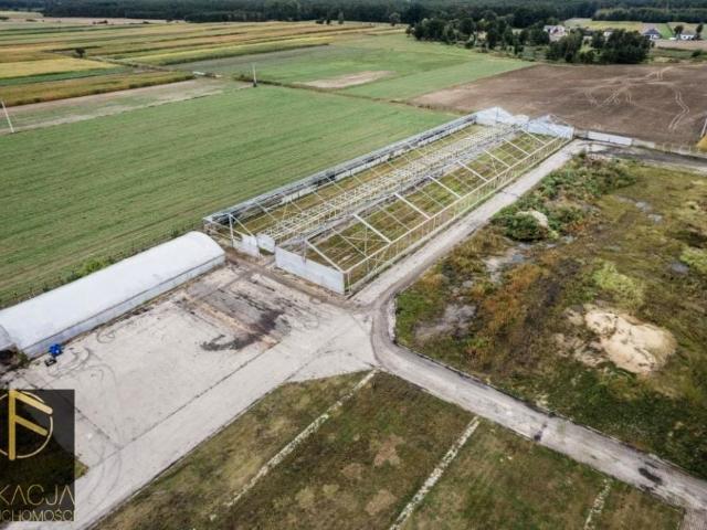 Grunt na sprzedaż w Blizanów, Wielkopolskie