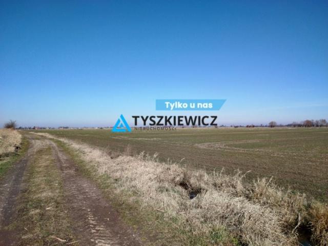 Grunt na sprzedaż w Malbork, Pomorskie