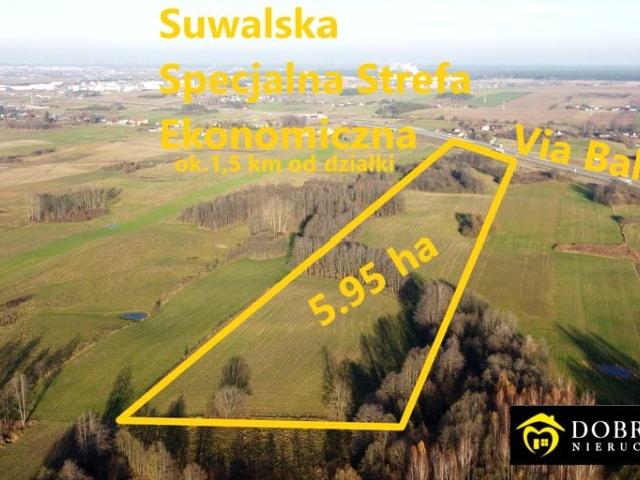 Grunt na sprzedaż w Suwałki, Podlaskie