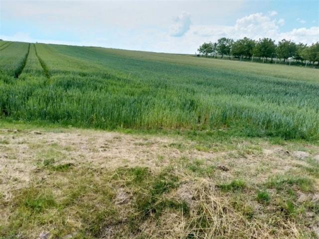 Grunt na sprzedaż w Grodzisko Dolne, Podkarpackie