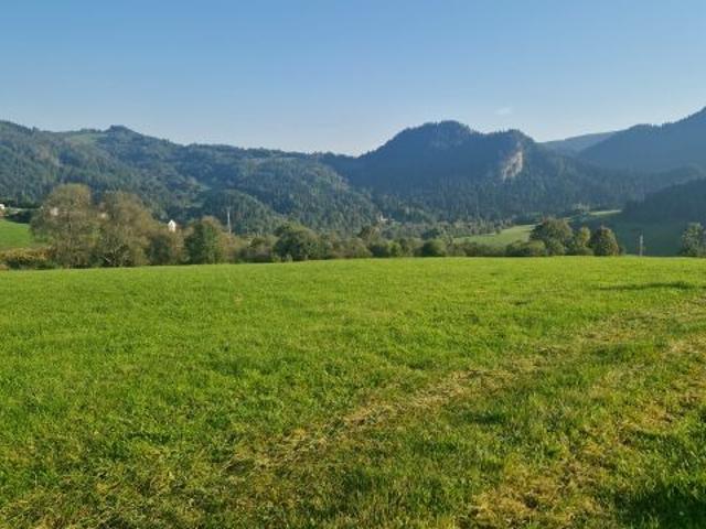 Grunt na sprzedaż w Szczawnica, Małopolskie