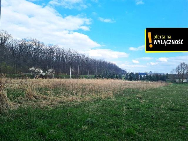 Grunt na sprzedaż w Łubnice, Świętokrzyskie
