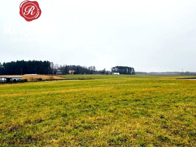 Grunt na sprzedaż w Sępólno Krajeńskie, Kujawsko-pomorskie
