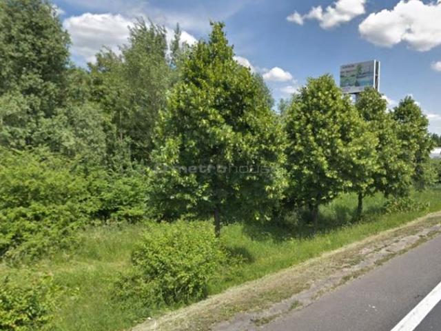 Grunt na sprzedaż w Tarnowo Podgórne, Wielkopolskie