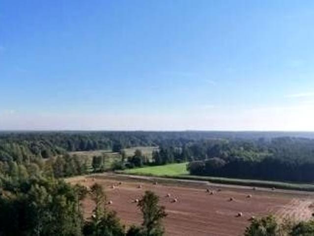 Grunt na sprzedaż w Józefina, Wielkopolskie