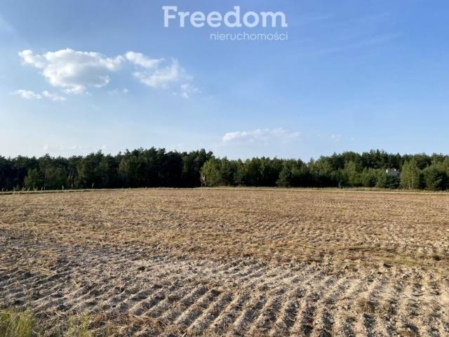 Grunt na sprzedaż w Ciechocin, Kujawsko-pomorskie