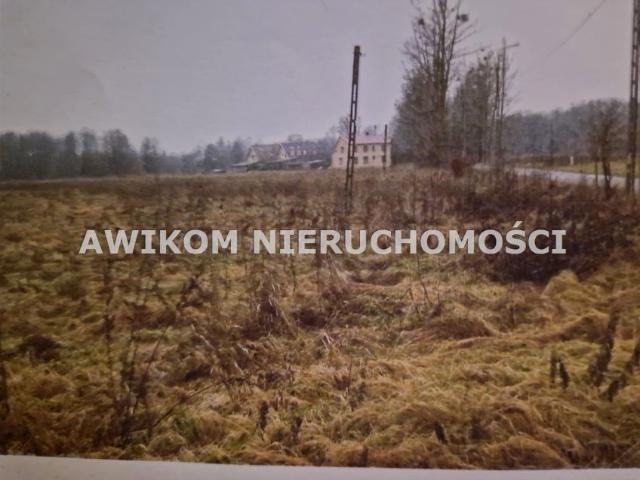 Grunt na sprzedaż w Białowieża, Podlaskie
