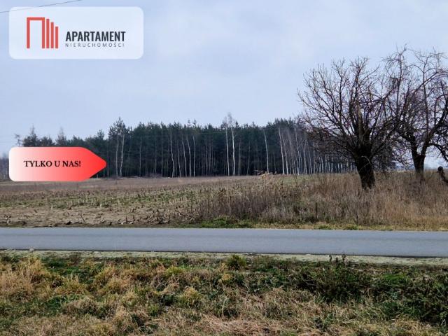 Grunt na sprzedaż w Rogowo, Kujawsko-pomorskie