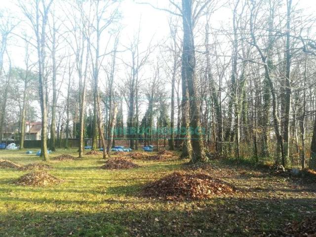 Grunt na sprzedaż w Milanówek, Mazowieckie